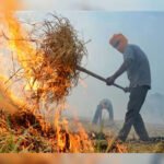 मिड डे मील वर्करों ने प्रदर्शन कर 26 हजार रुपए वेतन की मांग की