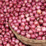 नेताजी की भतीजी रोमा रे का 95 वर्ष की आयु में निधन