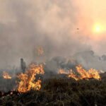 यूक्रेन संघर्ष समाप्त करने पर भारत हर संभव सहयोग देने को तैयार: प्रधानमंत्री मोदी