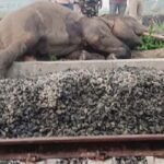 आप सत्ता में लौटी तो बढ़े हुए पानी और बिजली के बिल माफ कर दिए जाएंगे : अरविंद केजरीवाल