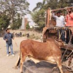 बीकानेर में कांस्टेबल ने की आत्महत्या