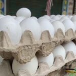 गीता जयंती महोत्सव स्थल पर हुआ जलभराव बना परेशानी