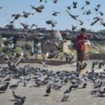 महाकुंभ: सटीक गिनती के लिए एआई-सक्षम कैमरे लगाए जाएंगे