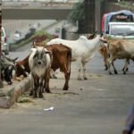 कई राज्‍यों के राज्‍यपाल बदले गए, आरिफ मोहम्मद खान बिहार के नए राज्यपाल