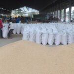 शराब पीकर गाड़ी चलाने के आरोप में डेविड वार्नर गिरफ्तार